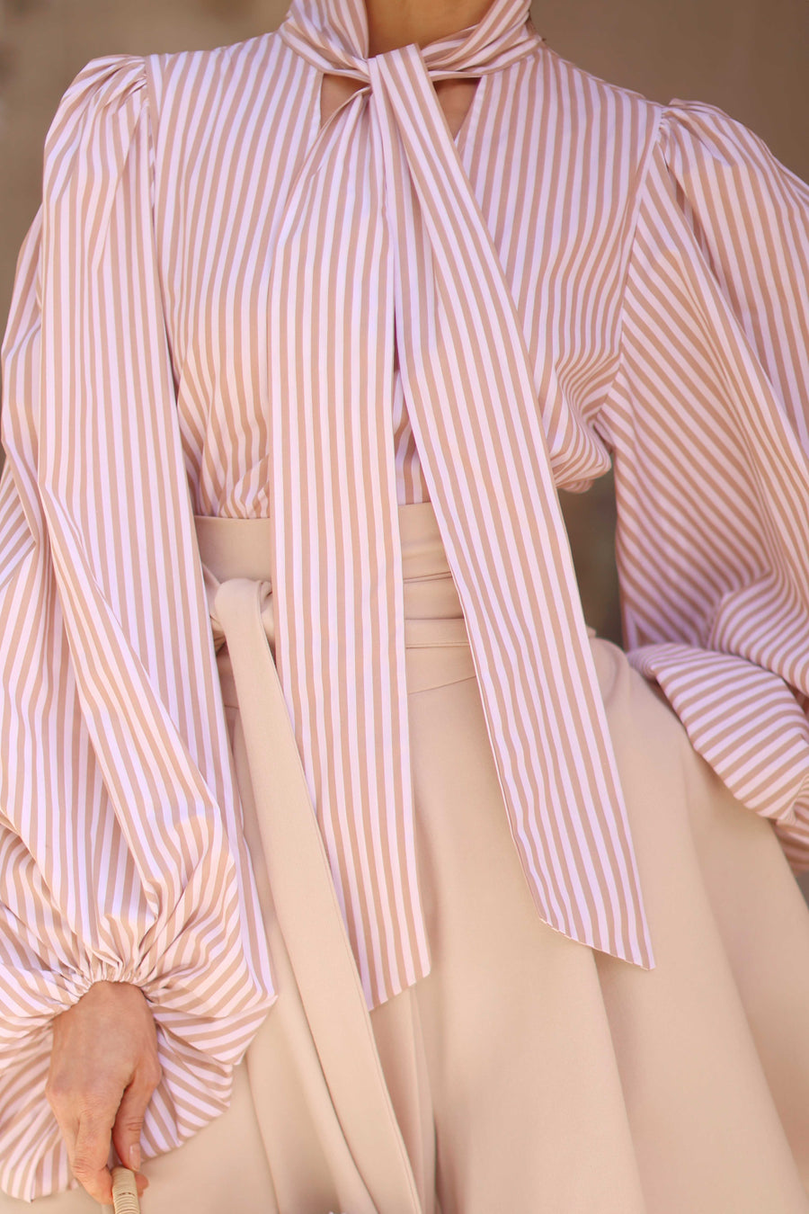 Rococo Brown Stripe Blouse